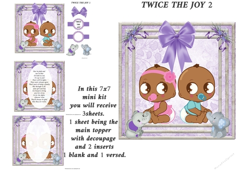 TWICE THE JOY 2
