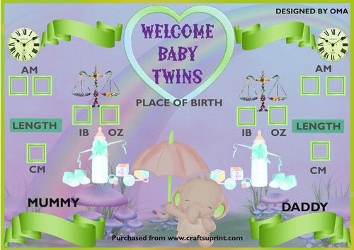 BABY TWIN CHART