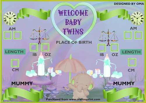 BABY TWINS, SAME SEX PARENTS. MUMMY & MUMMY 