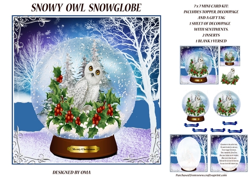Snowy Owl Snow globe