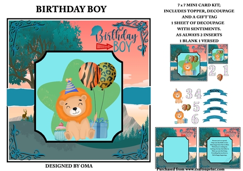 BIRTHDAY BOY 5 (Lion)
