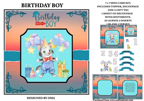 BIRTHDAY BOY 7 (CAT)