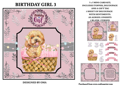 BIRTHDAY GIRL 3 puppy in a basket.