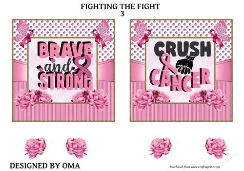 Breast Cancer Fighting the Fight.  3