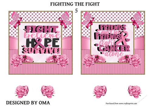 Breast Cancer Fighting the Fight.5