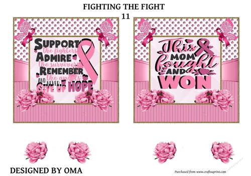 Breast Cancer Fighting the Fight. 11