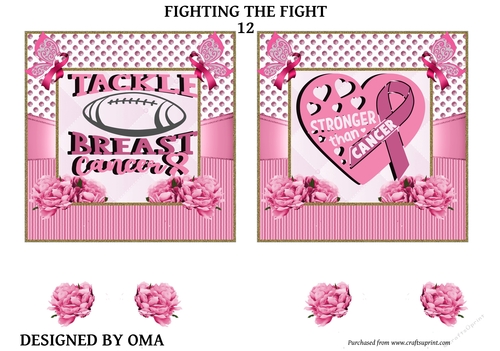 Breast Cancer Fighting the Fight. 12