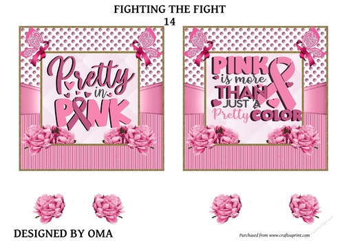 Breast Cancer Fighting the Fight. 14