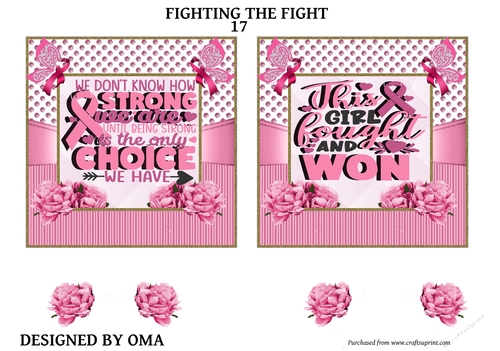 Breast Cancer Fighting the Fight. 17