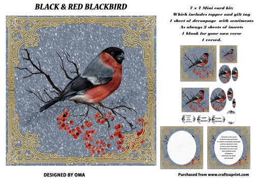RED AND BLACK BLACKBIRD