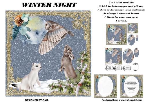 WINTER NIGHT