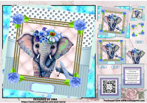 BABY ELEPHANT BOY