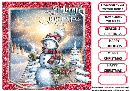 CHRISTMAS SCENE 18