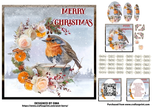 The Christmas Robin 1