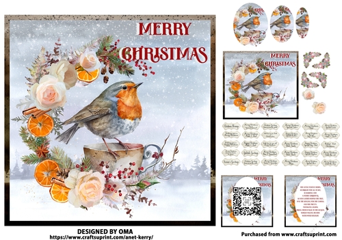 The Christmas Robin 2