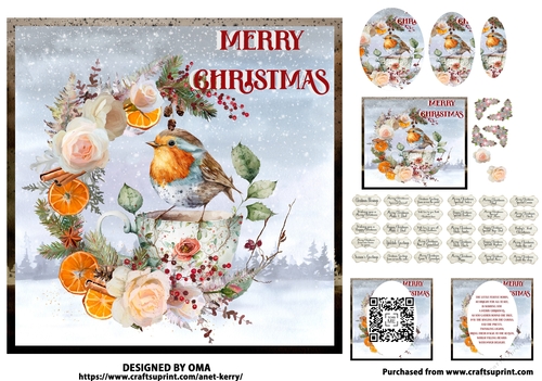 The Christmas Robin 4