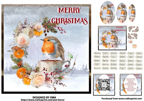 The Christmas Robin 5