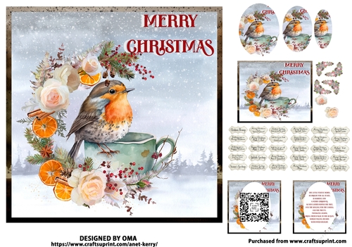 The Christmas Robin 6