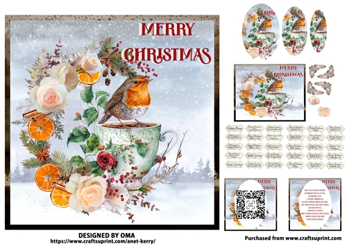 The Christmas Robin 7