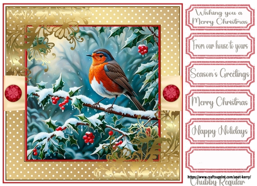 Christmas Robin 10