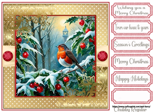 Christmas Robin 12