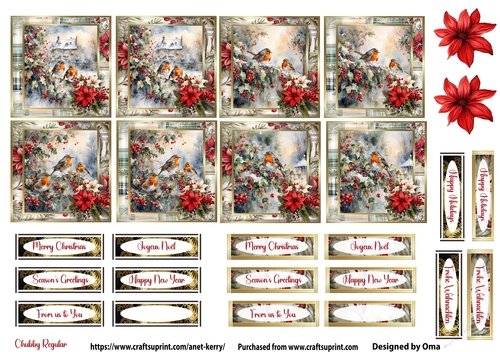 Christmas Robin Set 5