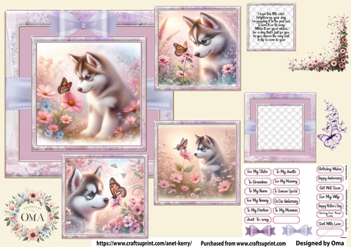 Puppy & Butterfly/ Alaskan Husky