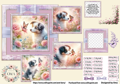 Puppy & Butterfly/ Border Collie