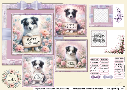 Happy Birthday/Border Collie