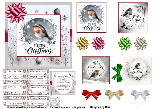 Christmas Robin 1
