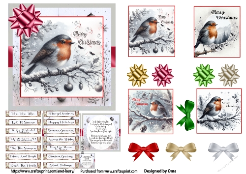 Christmas Robin 2