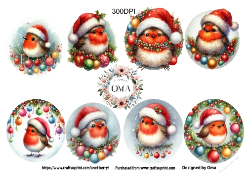 Christmas ROBINS