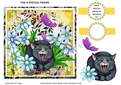 FOR A SPECIAL FRIEND