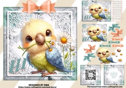 HI-BILLY Budgie