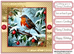 Christmas Robin 9