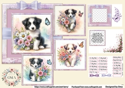 Puppy & Flowres/ Border Collie