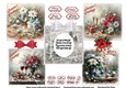 Christmas Poinsettia White 5