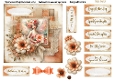 Summer Fairy 4