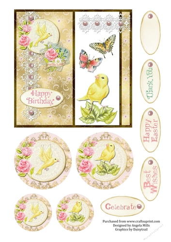 6 x 6 Card Front Floral Chick & Butterflies with Toppers and Sentiments Yellow/Pink