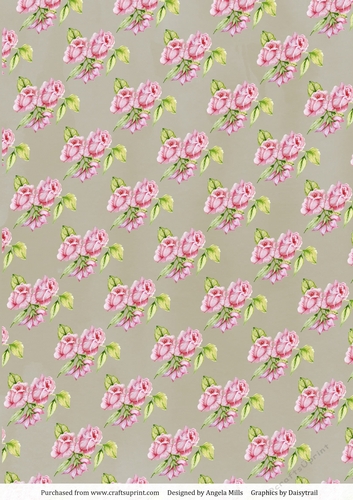 A4 Paper Pink Roses on Fawn Background