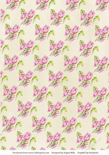 A4 Paper Pink Roses on Cream Background