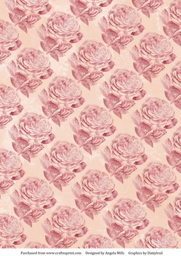 A4 Paper, Stamped Pink Roses on Peach Background