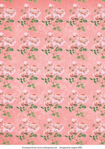 A4 Paper, Shabby Chic Pink Roses on Coral Background.