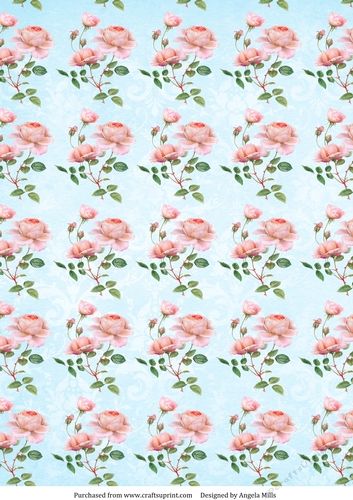 A4 Paper, Shabby Chic Pink Roses on Cerulean Blue Background.