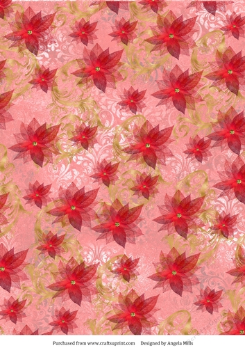 A4 Paper, Poinsettias and Swirls on Brick Red Background