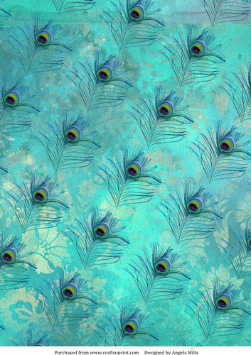 A4 Paper Peacock Feathers on Turquoise Blue Background