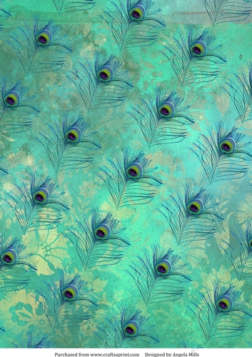 A4 Paper Peacock Feathers on Turquoise Green Background