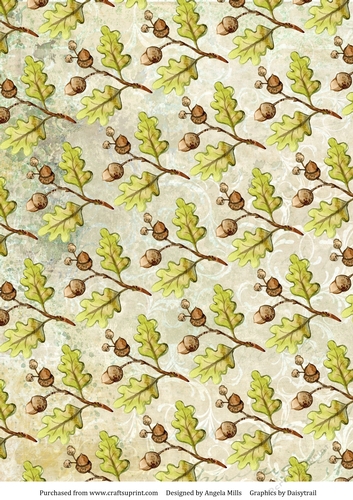 A4 Paper Acorns and Oak Leaves on Green Background