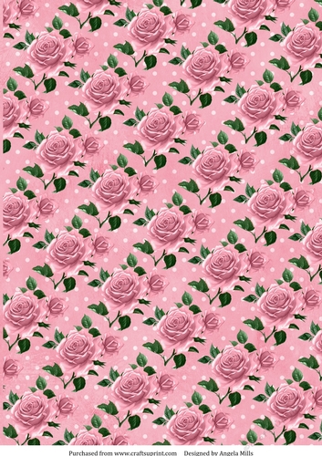 A4 Paper Pink Roses on Pink/White Polka Dot Background