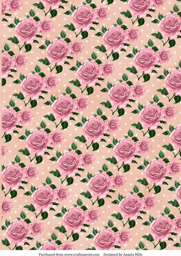 A4 Paper Pink Roses on Peach/White Polka Dot Background